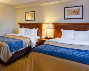 Comfort Inn Virginia Beach : Norfolk Airport 1